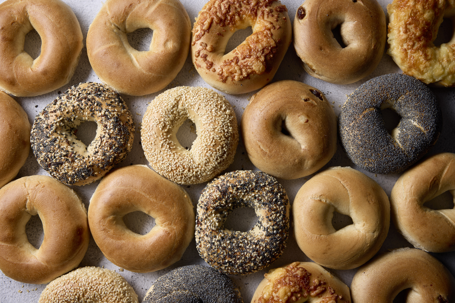 Rows of freshly baked bagels